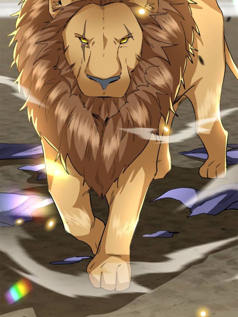 81492462 800 1067 93207